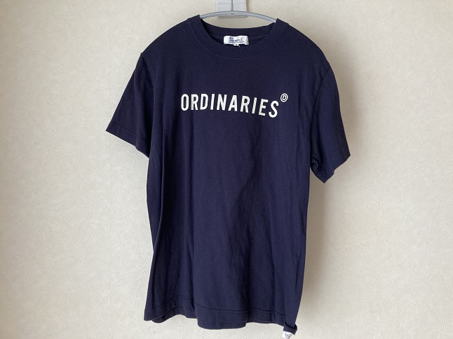 ALL ORDINARIESnoストレートロゴT(2019)